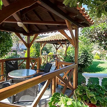 Olga Hotel 4*